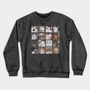 Cat memes Crewneck Sweatshirt